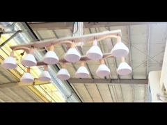 Warm verkochte koekjes mason potten plastic potten met lage prijs